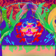 Composite image of a scammer, Elon Musk, and the doge meme dog. 