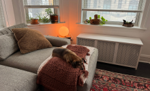 a small dog sitting on a couch in a living room lit up by a spherical lamp