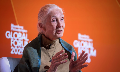 Jane Goodall, founder of the Jane Goodall Institute and UN messenger of peace, during the Bloomberg Philanthropies 2025 Global Business Forum in New York, US, on Wednesday, Sept. 24, 2025.