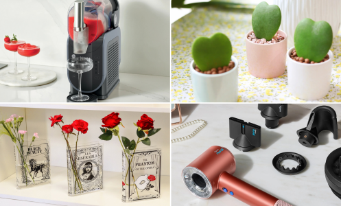 Ninja Slushi, potted heart-shaped succulents, book-themed vases with flowers, and Dyson Supersonic Nural hair dryer arranged in collage
